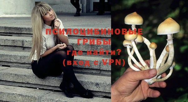ГАЛЛЮЦИНОГЕННЫЕ ГРИБЫ Бронницы