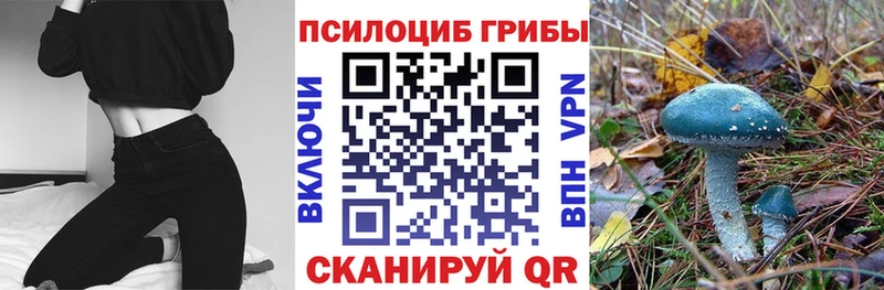 Купить где Олёкминск Псилоцибиновые грибы Cubensis