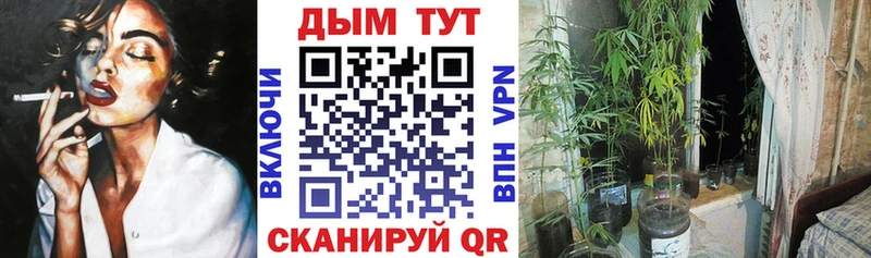 Бошки марихуана тримм  Купить где  Олёкминск 